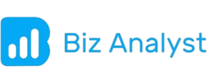 BizAnalyst